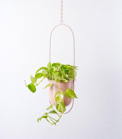 Millennial Metal Hanging Planter with Oval Design