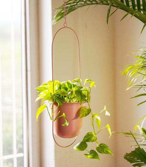Set of 2 Millennial Metal Hanging Planters with Oval Design