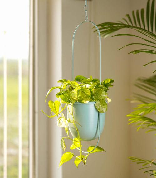 Set of 2 Millennial Metal Hanging Planters with Oval Design