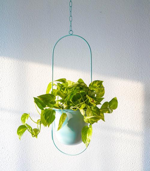 Set of 2 Millennial Metal Hanging Planters with Oval Design