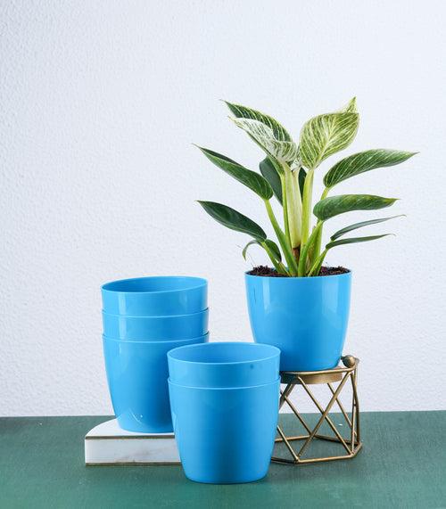 Blue Glossy Bare Fiber Planter Set (Size: 4 Inch)