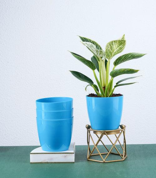 Blue Glossy Bare Fiber Planter Set (Size: 4 Inch)