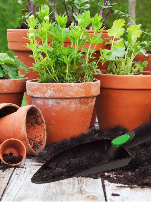 Hand Trowel - Tools for Gardening