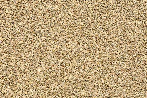 Carom Seeds - Ajwain from Gujarat