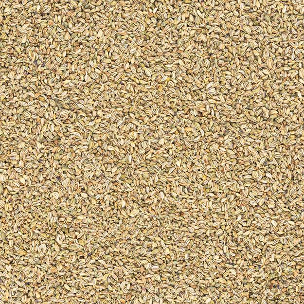 Carom Seeds - Ajwain from Gujarat