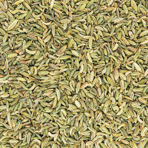 Fennel from Gujarat