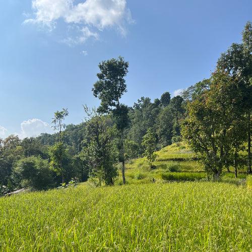 Kalimpong Table