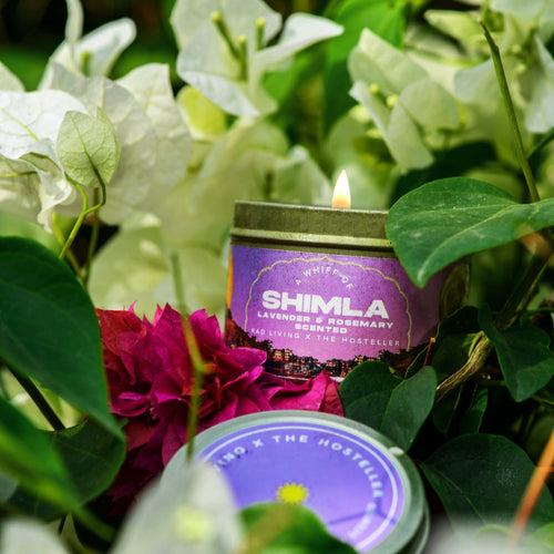 Shimla - Lavender & Rosemary Scented Soy Candle