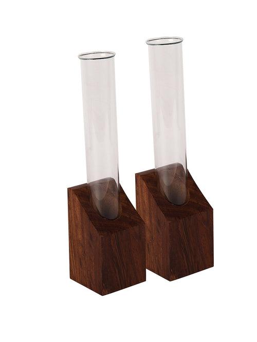 Sheesham Wood Test Tube Planters Set of Two