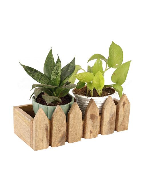 Flora Mango Wood Picket Fence Planter/ Pot Holder