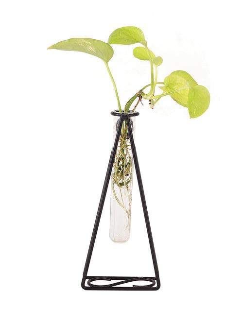 Flora-Glass Triangle  Test Tube Iron Planter