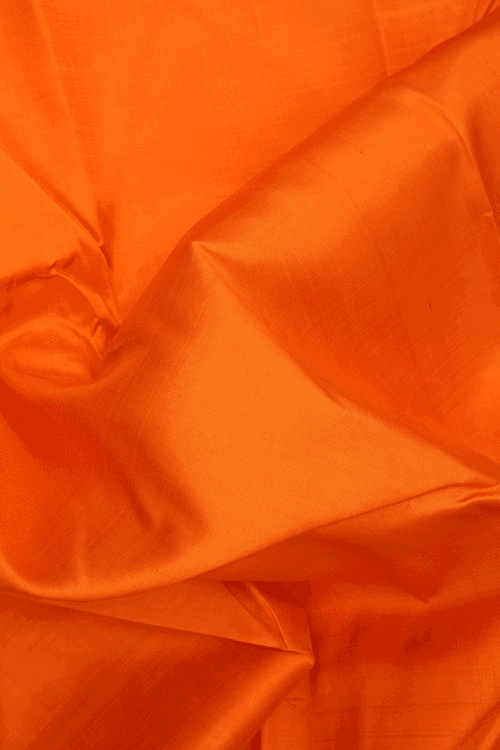 Zari Border Plain Spiced Orange Kanchipuram Silk Saree