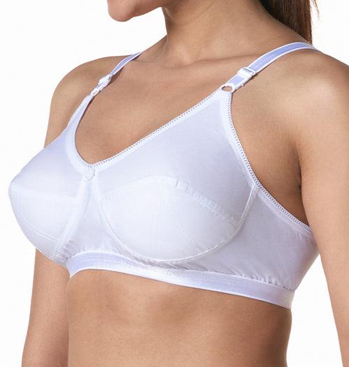 Plus Size Bra