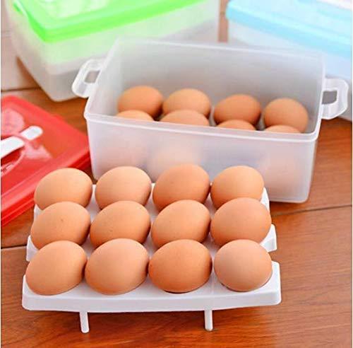 Double Layer Egg Storage Box ( Fits 24 eggs )