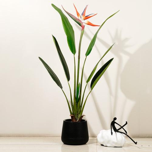 Striking Beauty: 3.2 Feet Tall Real Touch Strelitzia with Flower (Without Pot)