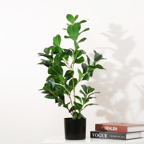 Peaceful Retreat - 2.2 Feet Tall Artificial Peperomia Plant