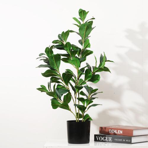 Peaceful Retreat - 2.2 Feet Tall Artificial Peperomia Plant