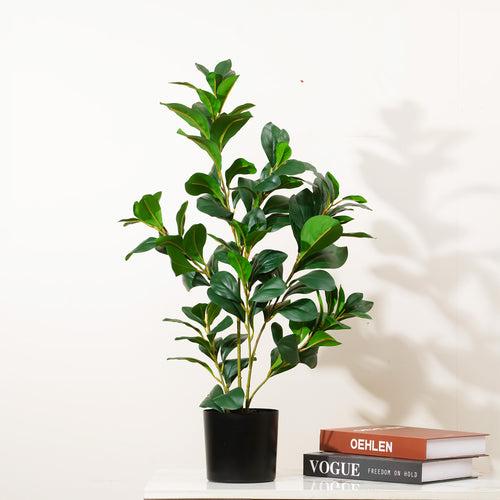 Peaceful Retreat - 2.2 Feet Tall Artificial Peperomia Plant