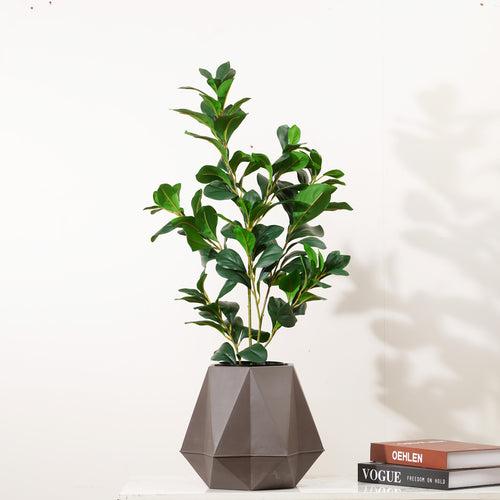 Peaceful Retreat - 2.2 Feet Tall Artificial Peperomia Plant