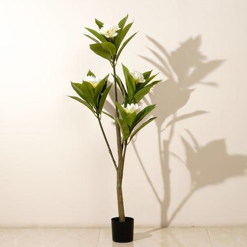 Aloha Charm ~ 4 Feet Tall Frangipani Artificial Plant - White