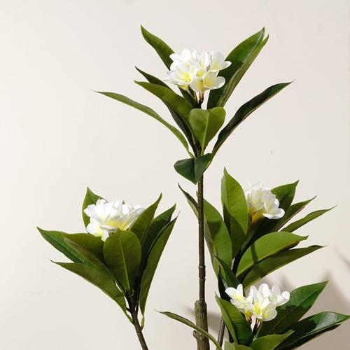 Aloha Charm ~ 4 Feet Tall Frangipani Artificial Plant - White