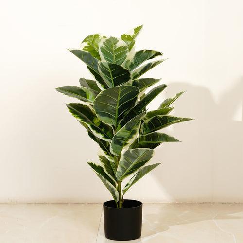 Gleaming Foliage - 2.5 Feet Tall Rubber Artificial Plant