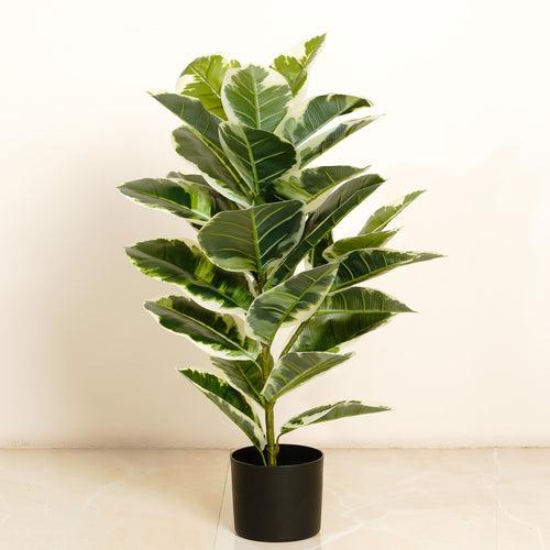 Gleaming Foliage - 2.5 Feet Tall Rubber Artificial Plant