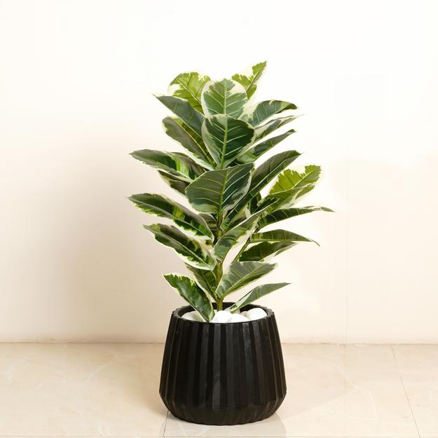 Gleaming Foliage - 2.5 Feet Tall Rubber Artificial Plant