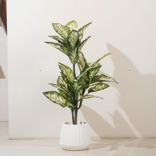 The Abundant Beginnings: Artificial Dieffenbachia Plant - 4 Feet Tall (Without Pot)