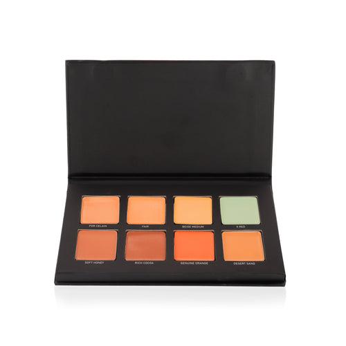 Conceal & Correct Palette