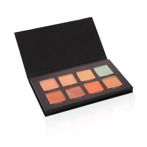 Conceal & Correct Palette