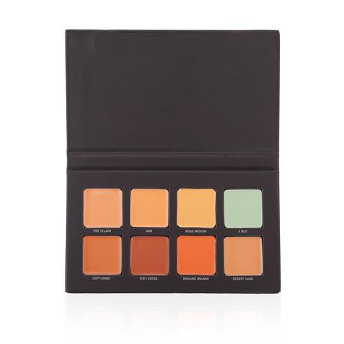 Conceal & Correct Palette