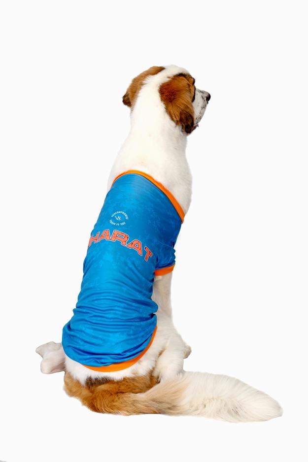 VS- India Cricket Pet Jersey for Dogs