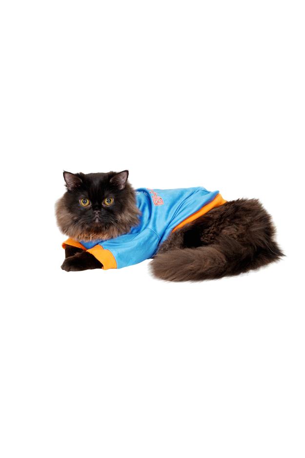 VS India Cricket Pet jersey for Cats