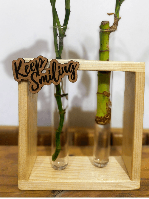 Hydroponic Indoor Plant in Glass - Double test Tube in  Wooden Frame