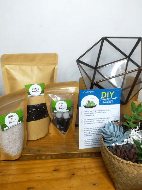 Do-it-Yourself - DIY-  Triangular Faced Open Terrarium (10 inches) kit