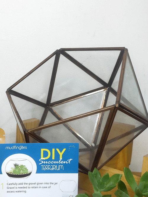 Do-it-Yourself - DIY-  Triangular Faced Open Terrarium (10 inches) kit