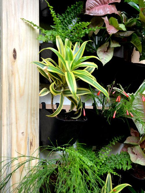 Vertical Garden (4 X 2 Feet)