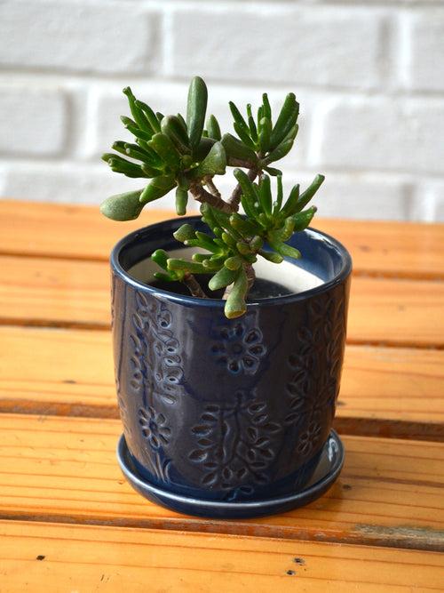 Blue Ceramic Long Pot