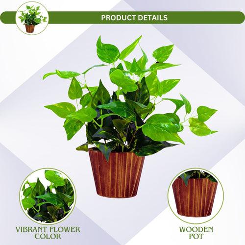 Artificial money plant (32 cm) in wood round big pot