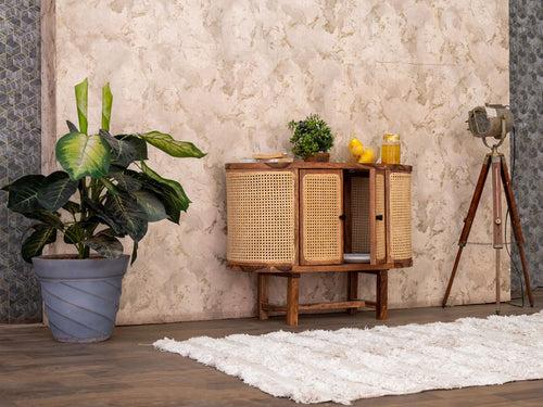 Duraster New York Modern Sheesham Wood Rattan Cabinet #5