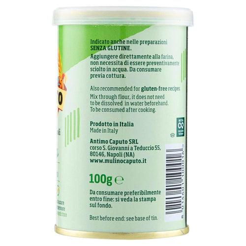 Caputo Lievito Active Dry Yeast 100g