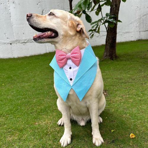 Aqua Stripe Tuxedo Vest Bandana