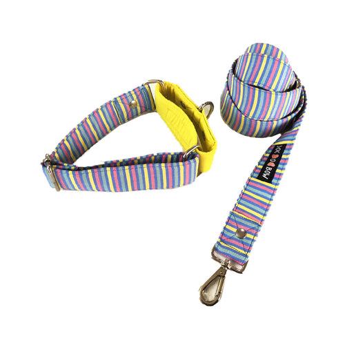 Multi-stripe martingale Leash combo