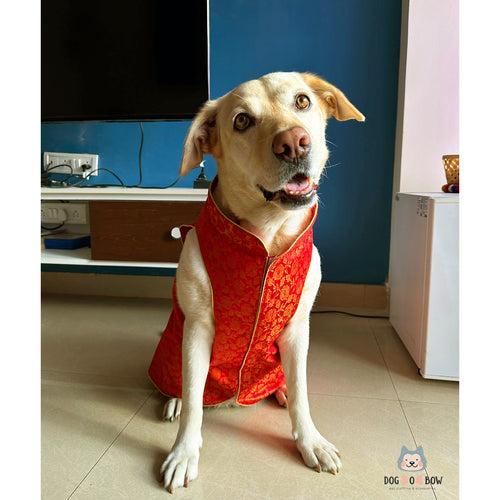 Red Floral Sherwani