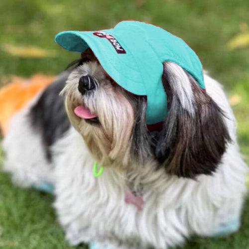 Teal Baseball Cap