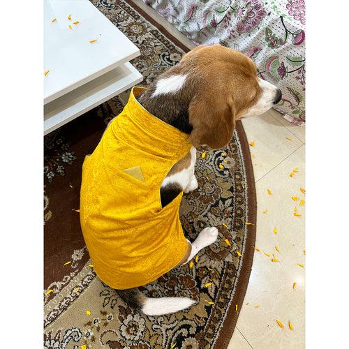 Yellow Floral Sherwani