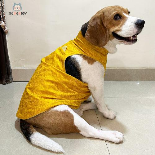 Yellow Floral Sherwani