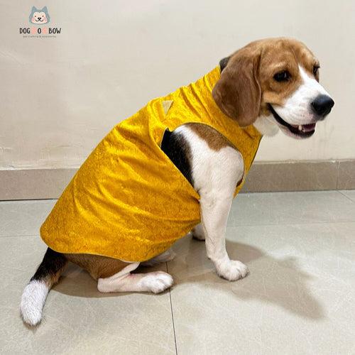 Yellow Floral Sherwani