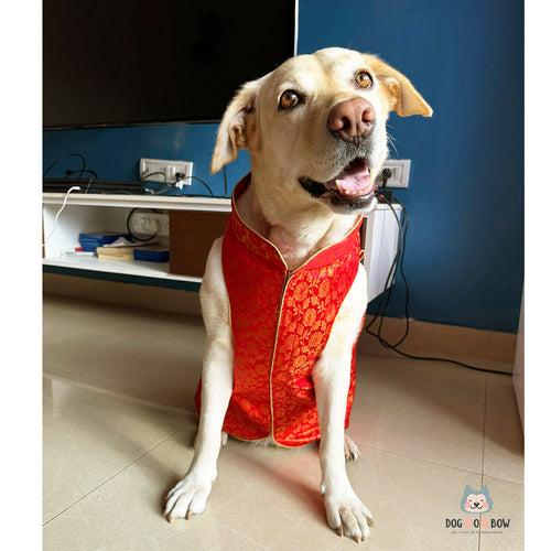 Red Floral Sherwani